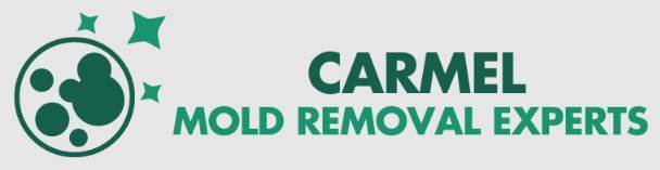 Carmel's Mold Removal Experts