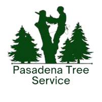 Pasadena Tree Service Jennifer Max