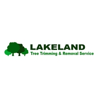 Tree Service Company Lakeland George Paulson