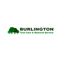 Burlington Tree Care & Removal Service Tree Removal  Services